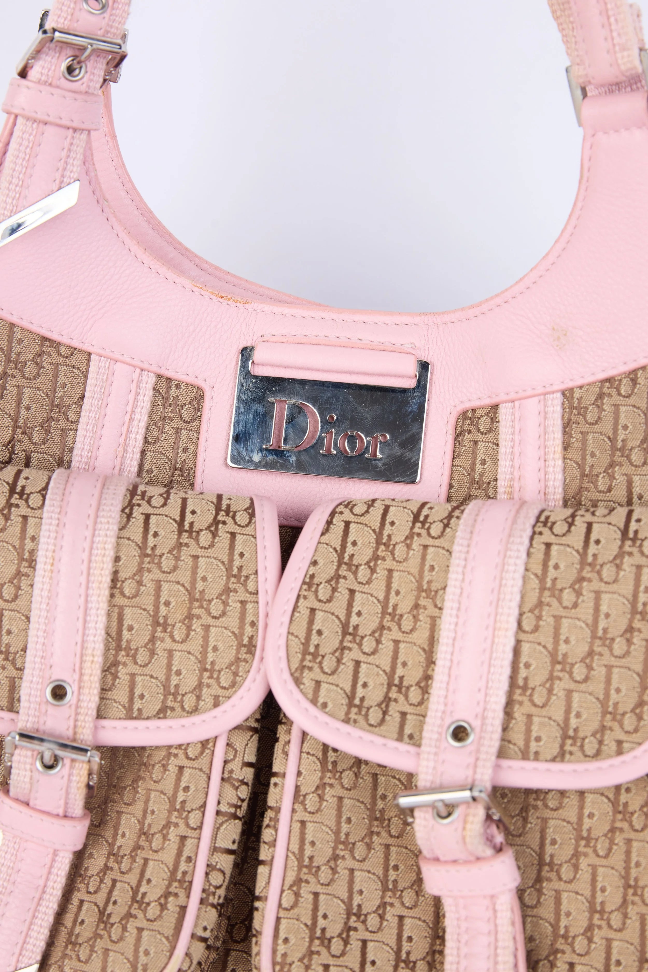 DIOR LIGHT  PINK/BEIGE TROTTER