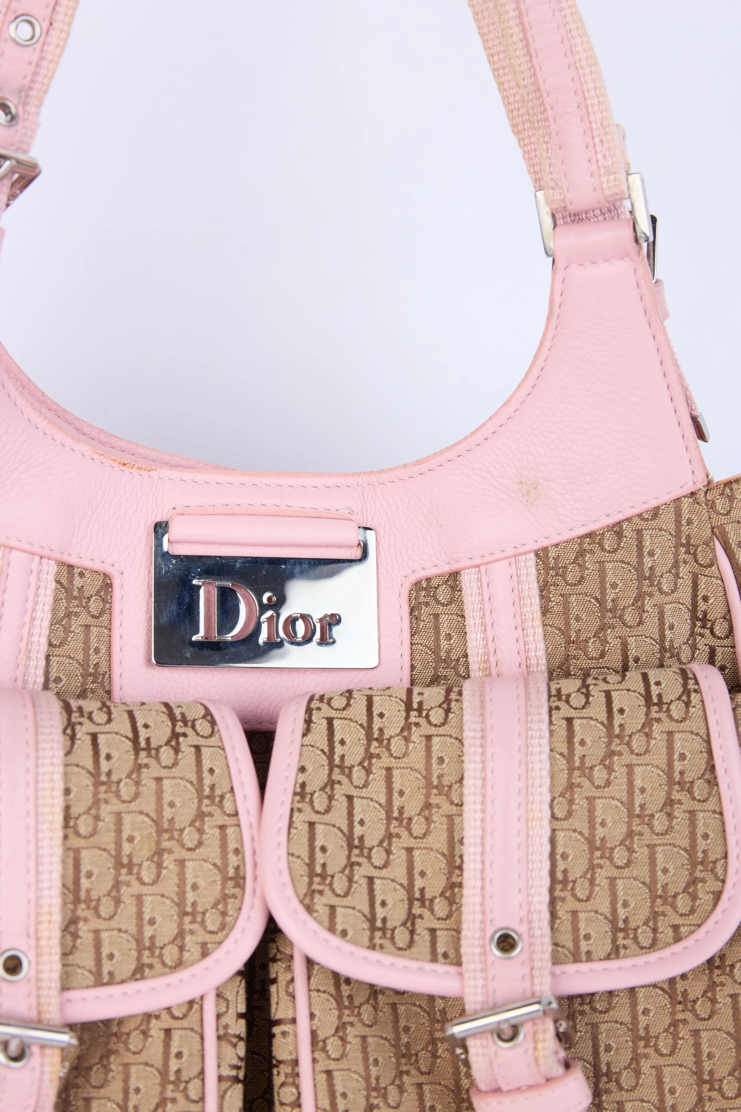DIOR LIGHT  PINK/BEIGE TROTTER