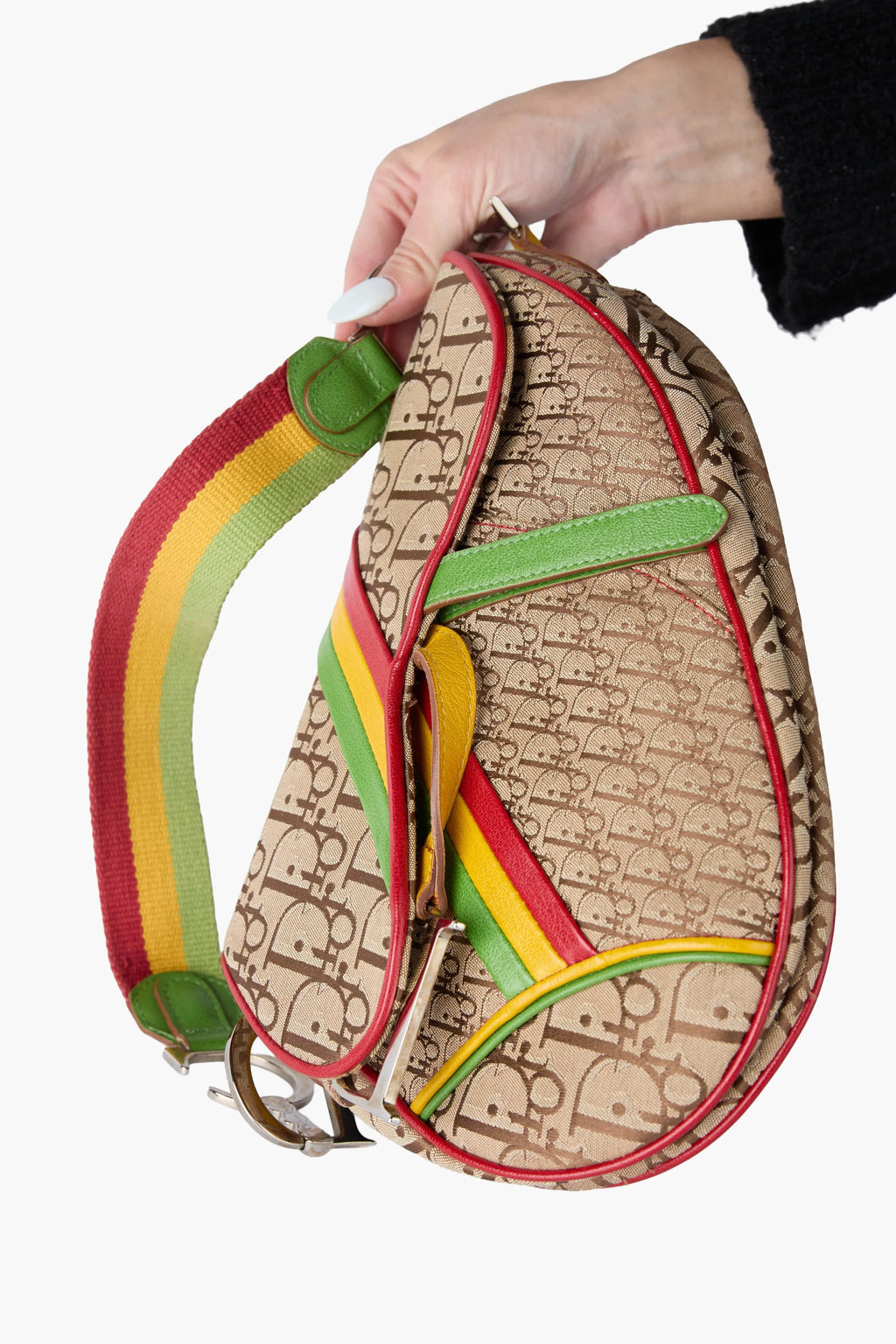 Dior 2004 Rasta Tricolor Saddle Handbag