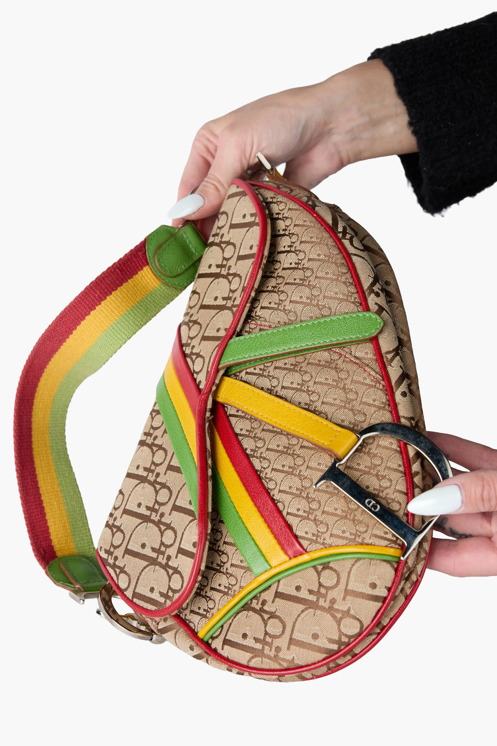 Dior 2004 Rasta Tricolor Saddle Handbag