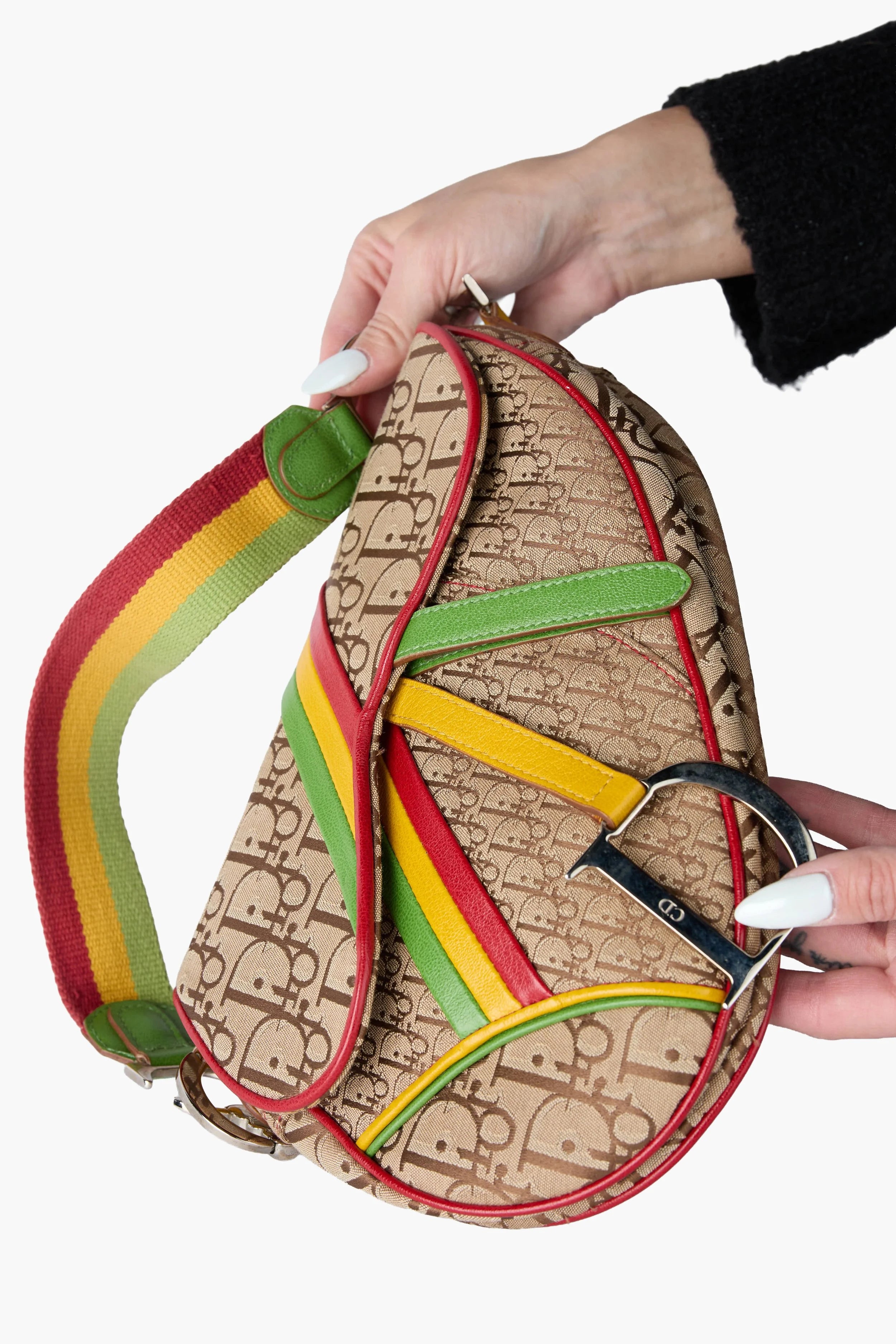 Dior 2004 Rasta Tricolor Saddle Handbag