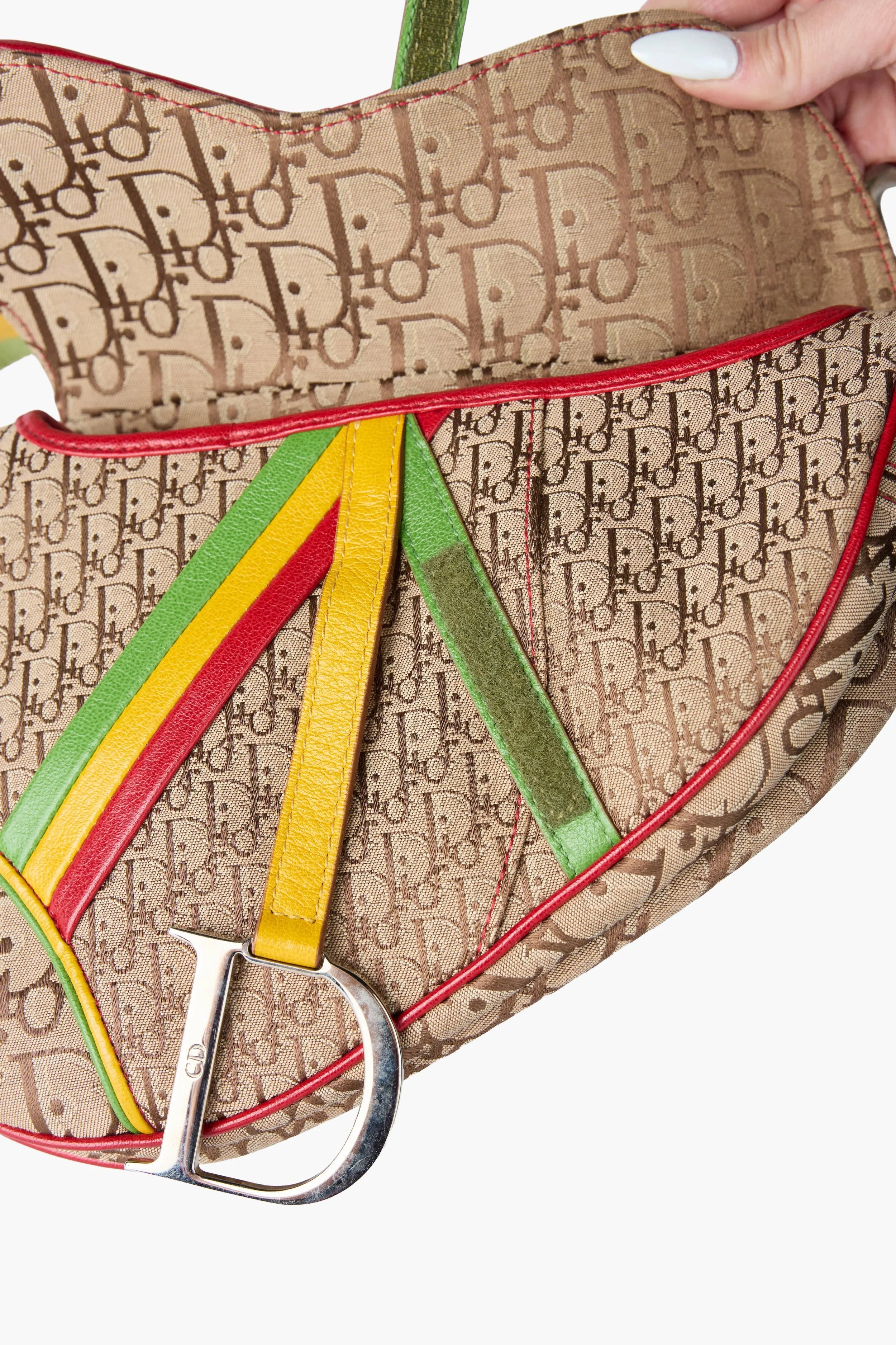 Dior 2004 Rasta Tricolor Saddle Handbag