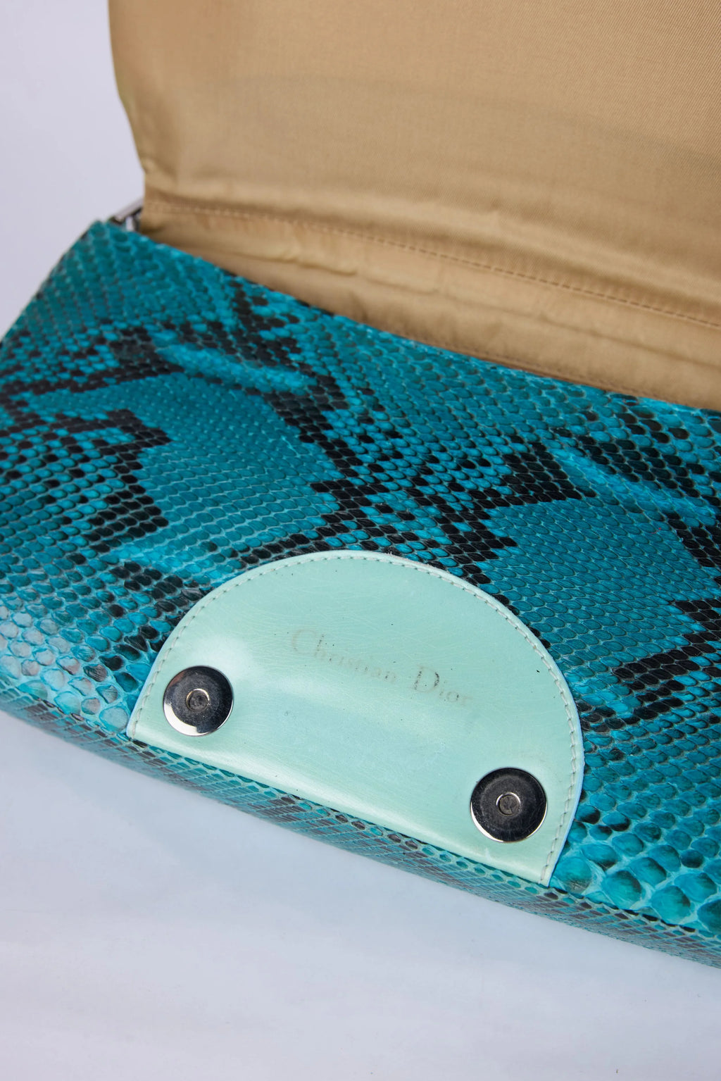 DIOR TEAL PYTHON MALICE SHOULDER BAG