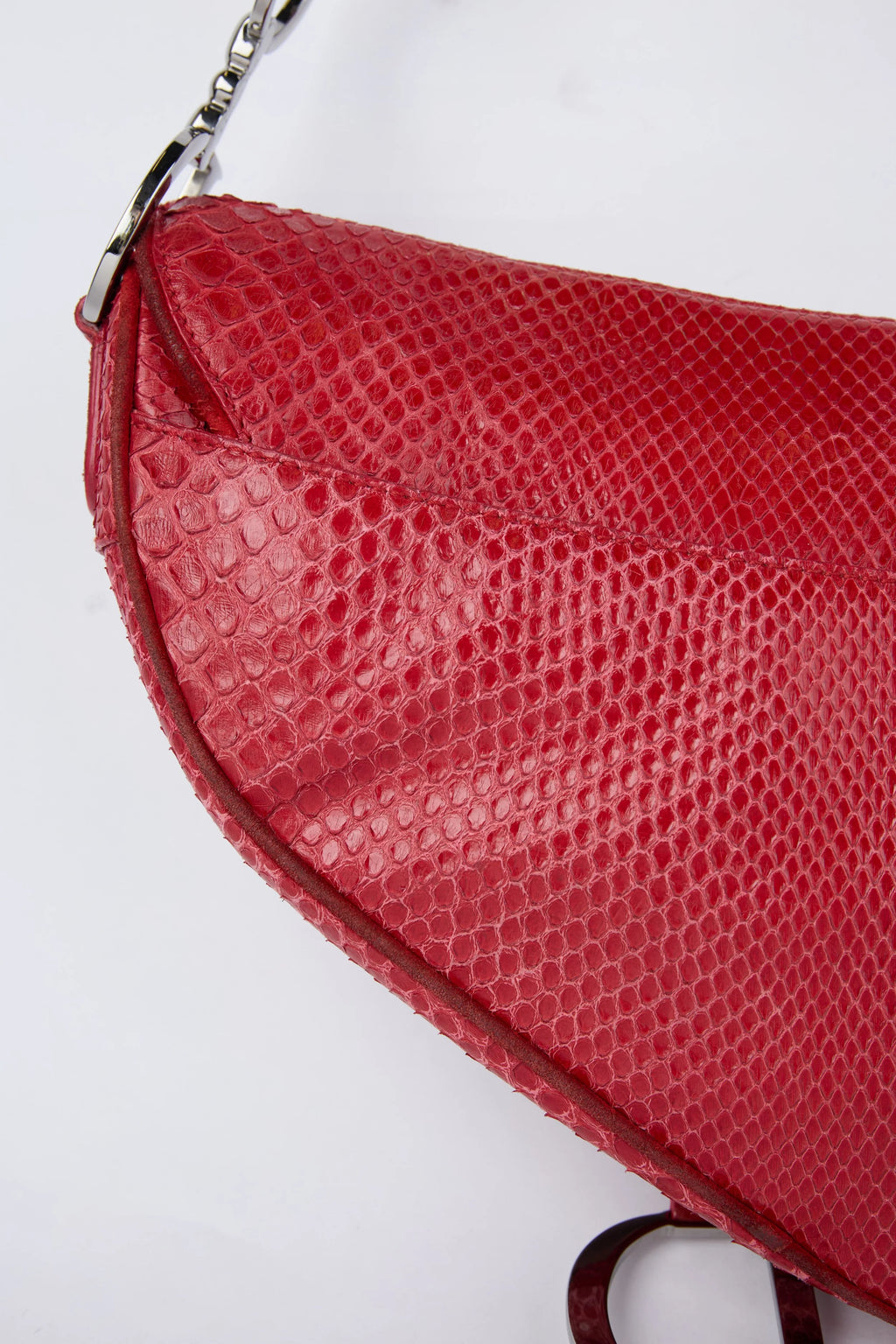 RARE DIOR RED PYTHON SADDLE
