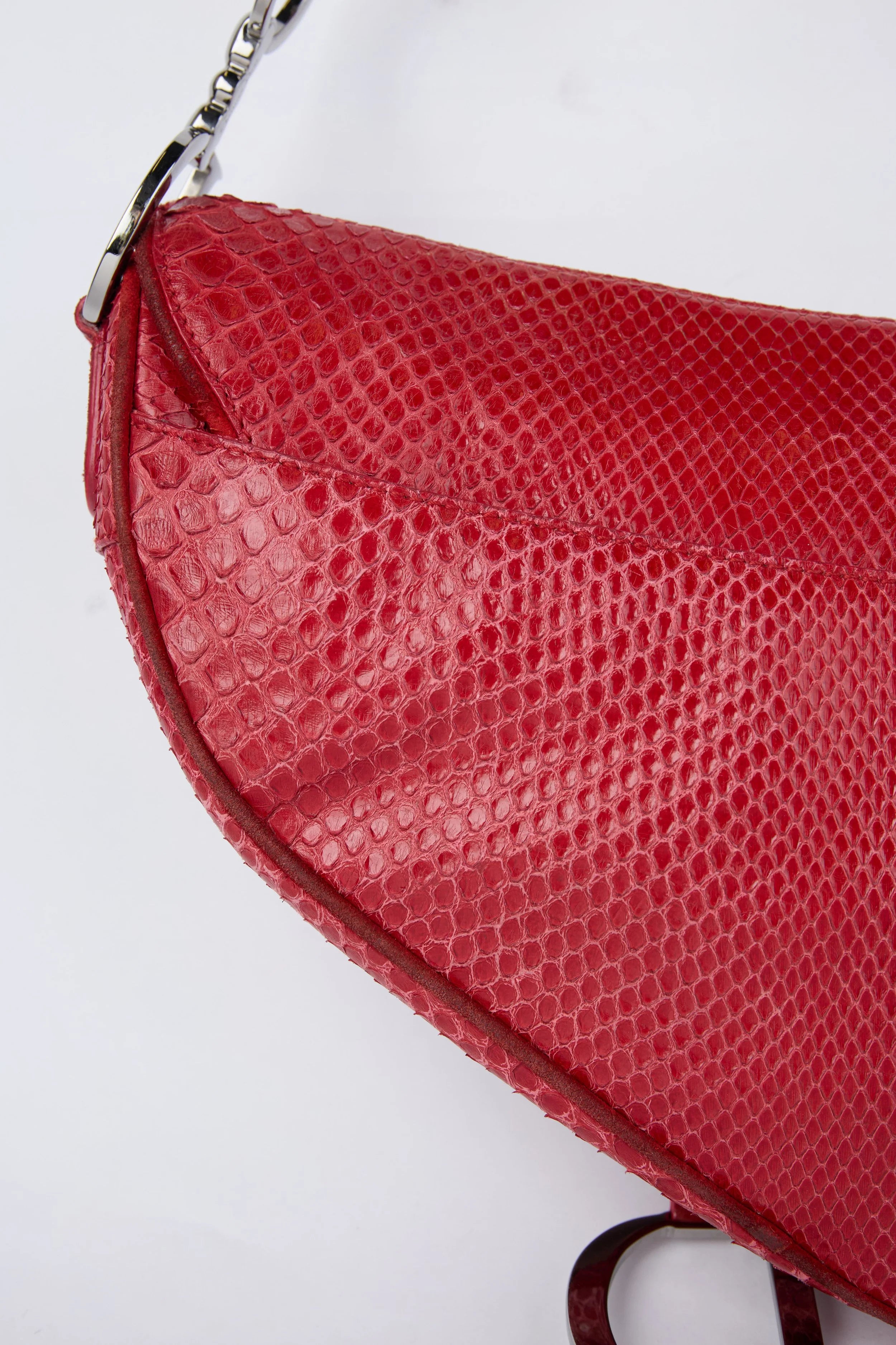 RARE DIOR RED PYTHON SADDLE