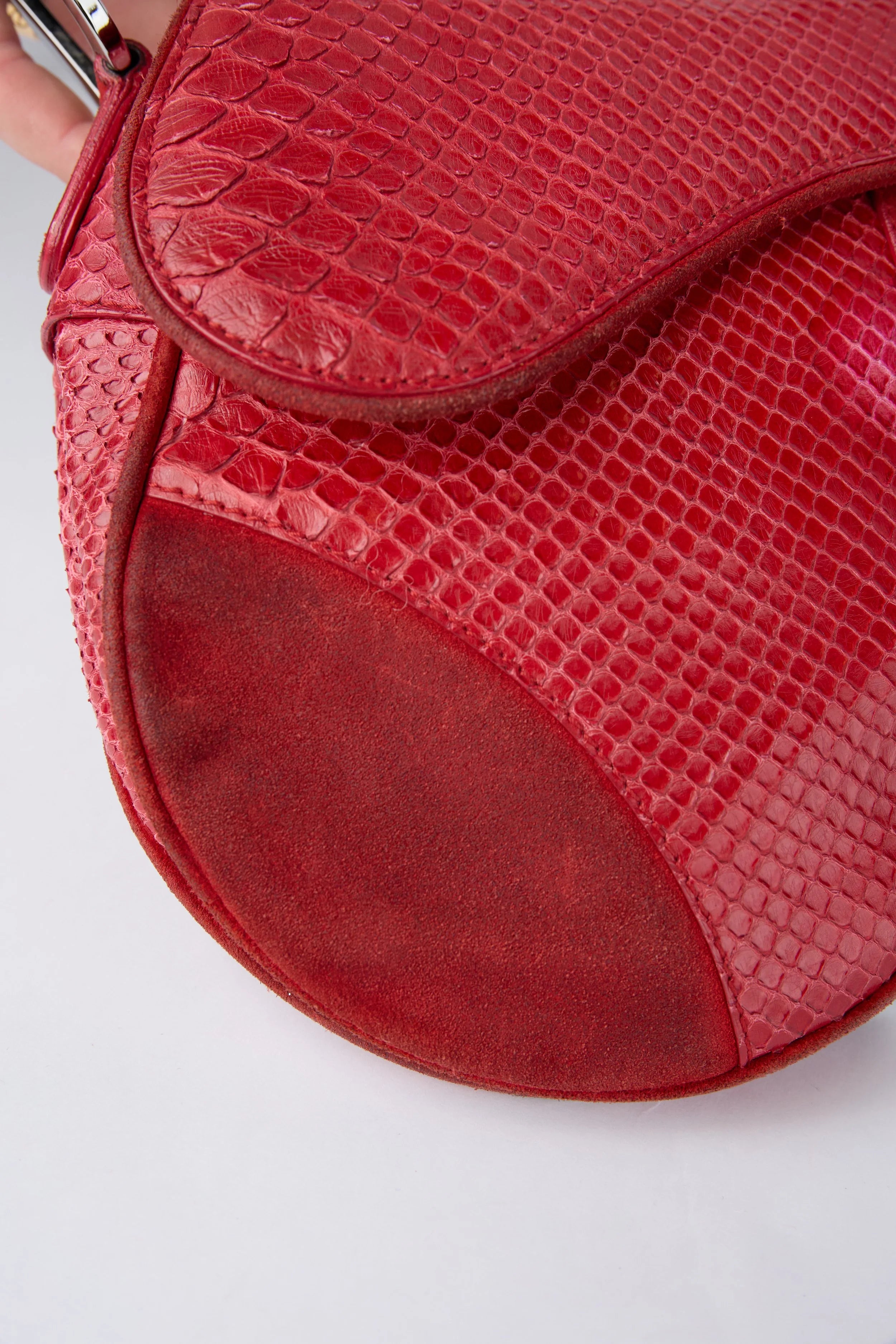RARE DIOR RED PYTHON SADDLE