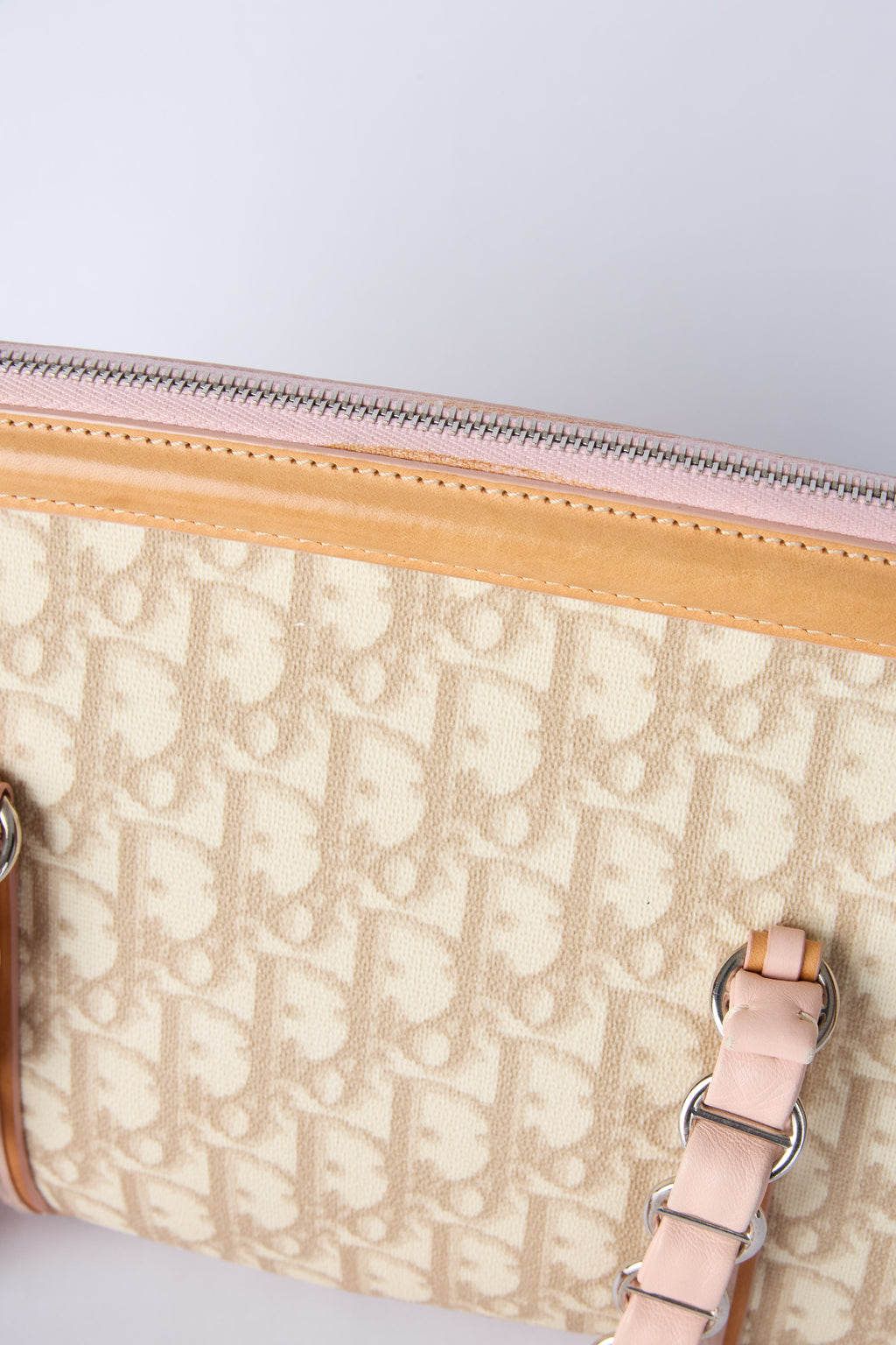 DIOR ROMANTQIUE TROTTER BAG