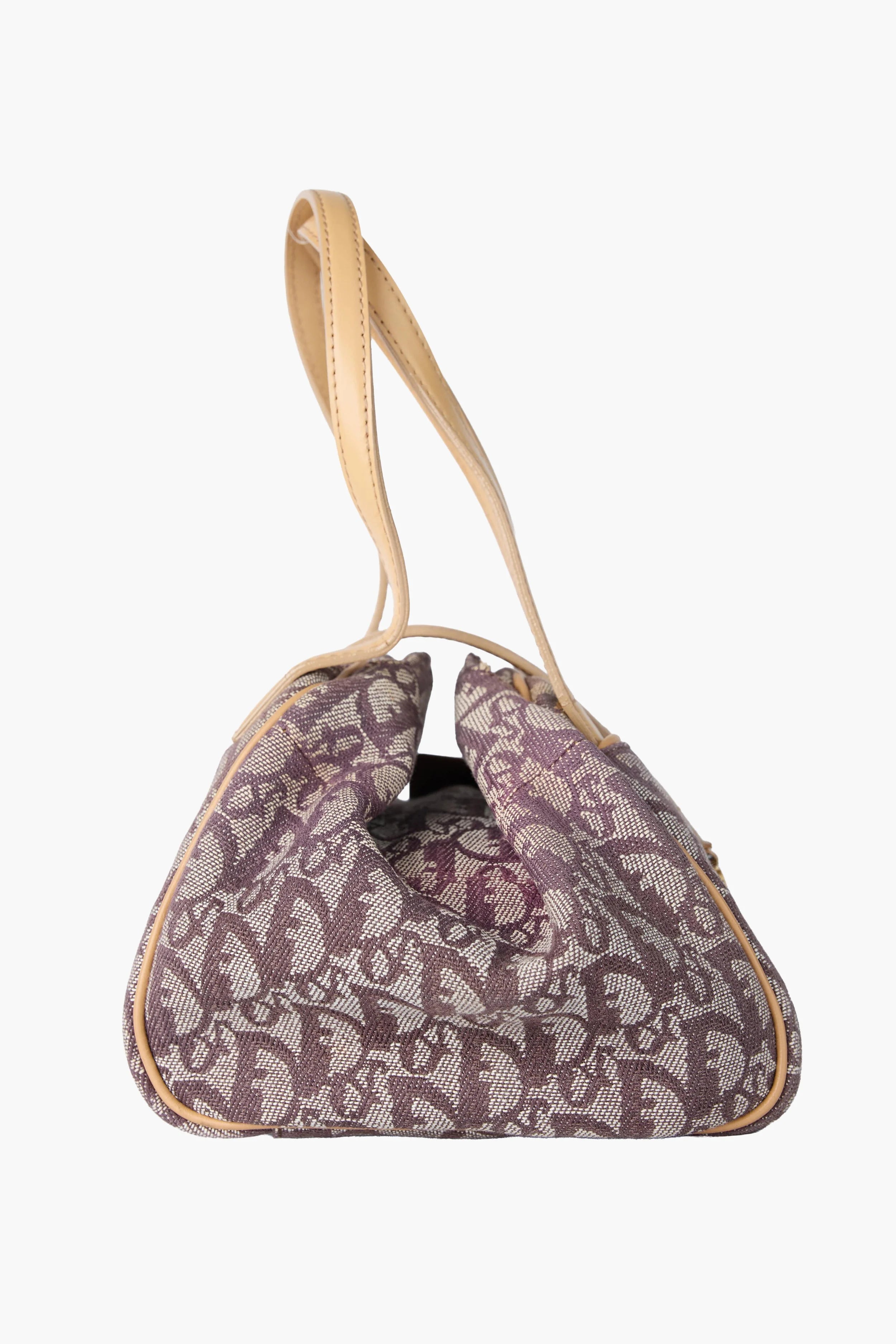 Dior Biege Dumpling Bag