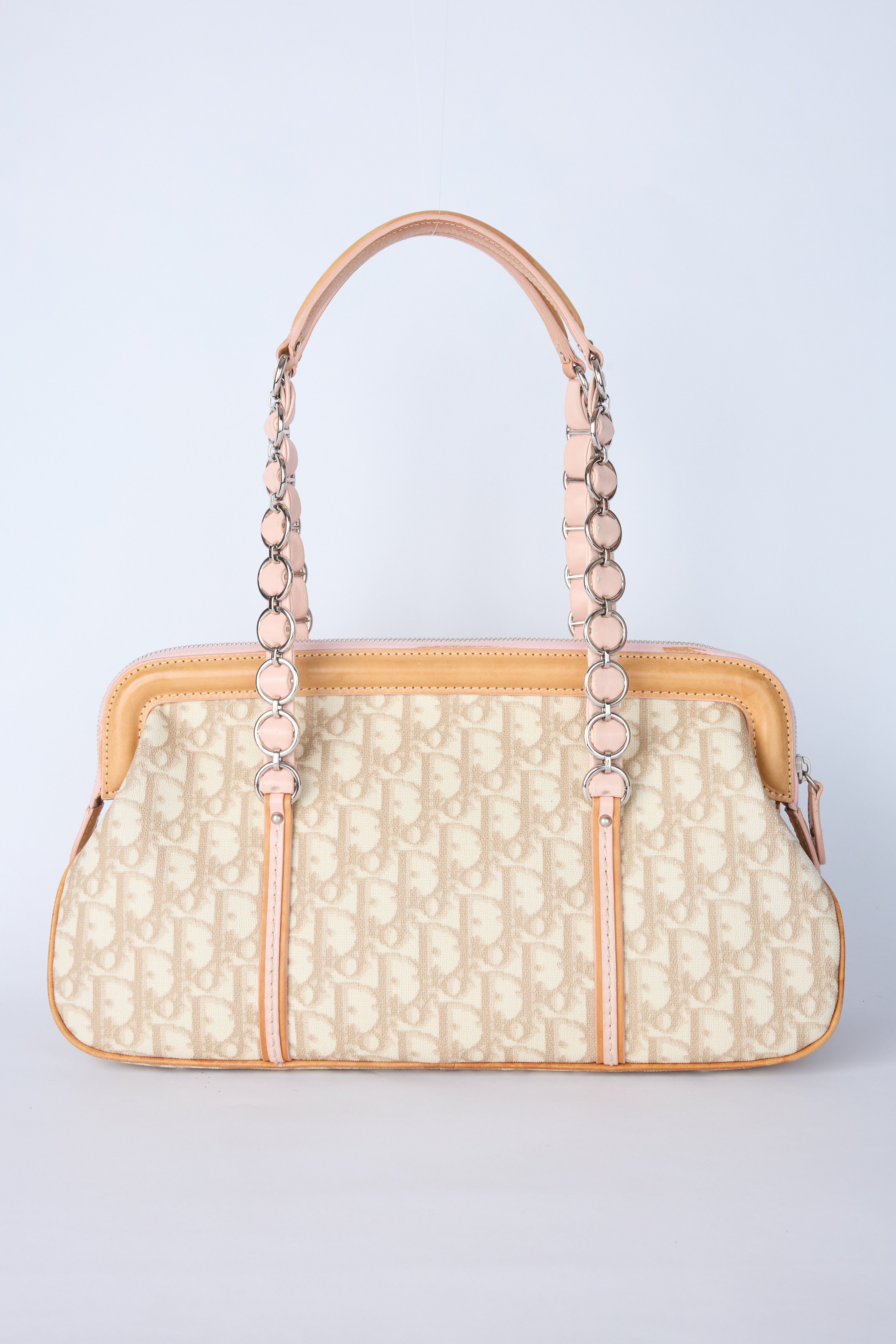 DIOR ROMANTQIUE TROTTER BAG