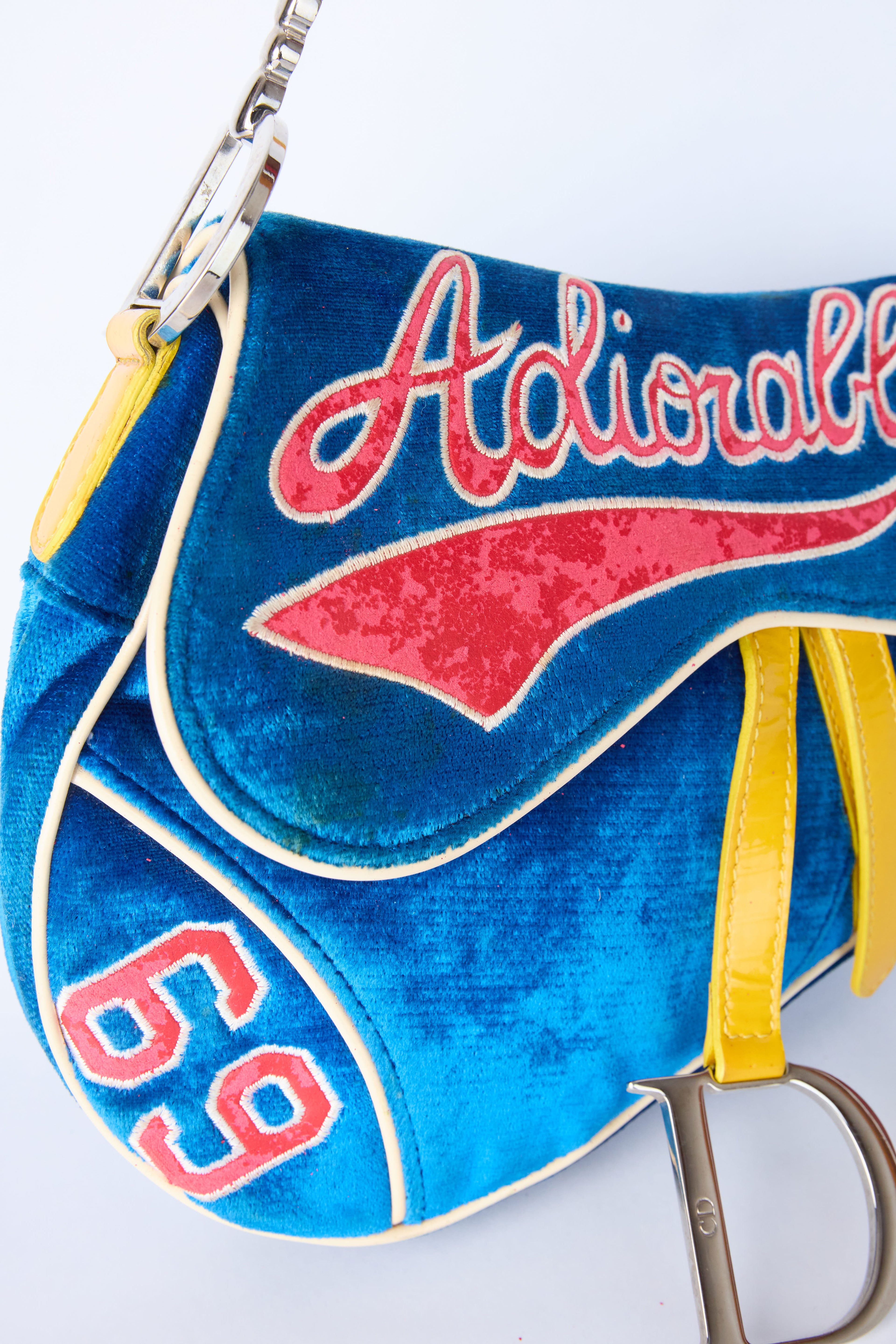DIOR ADIORABLE SADDLE