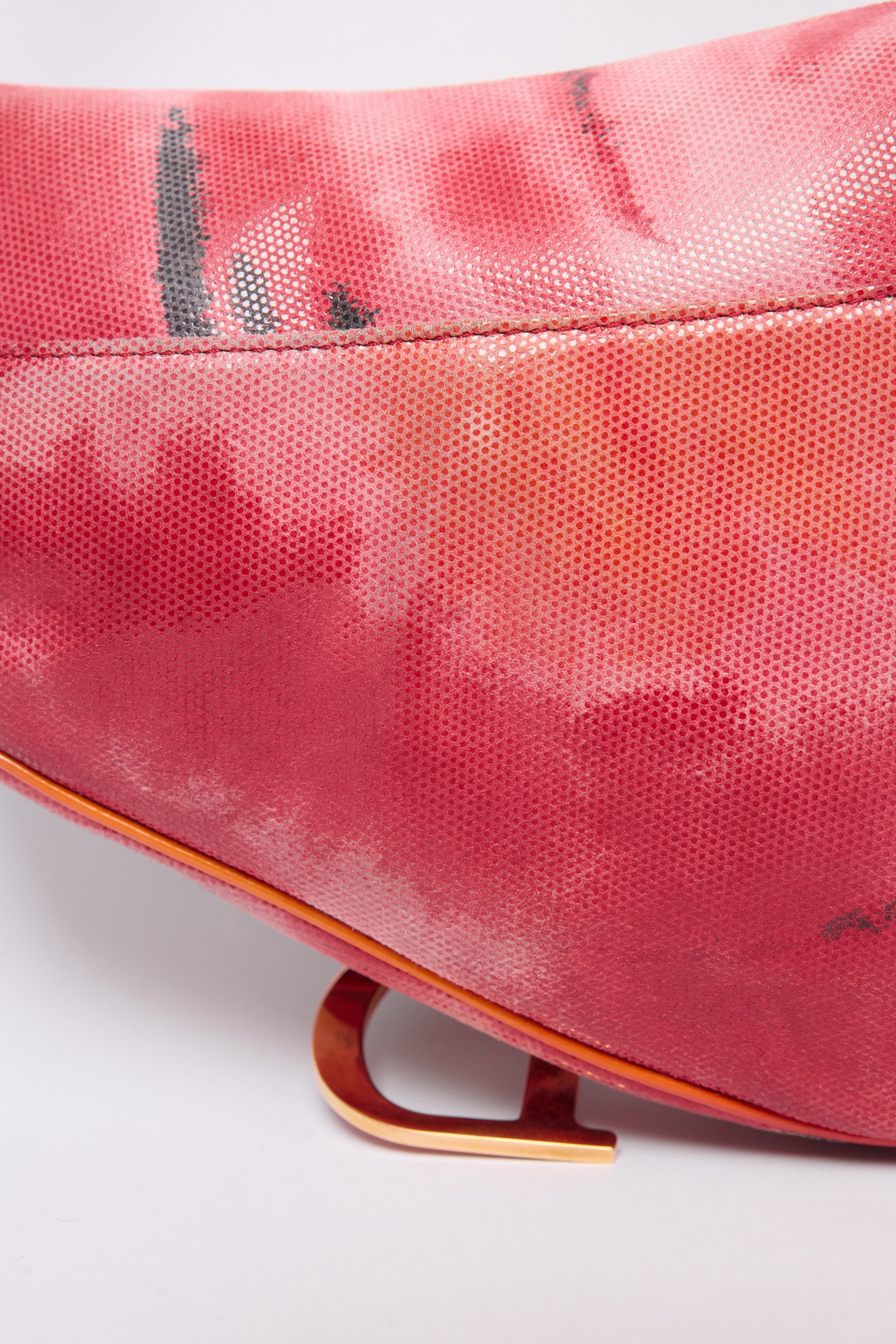 DIOR SUNSET SADDLE