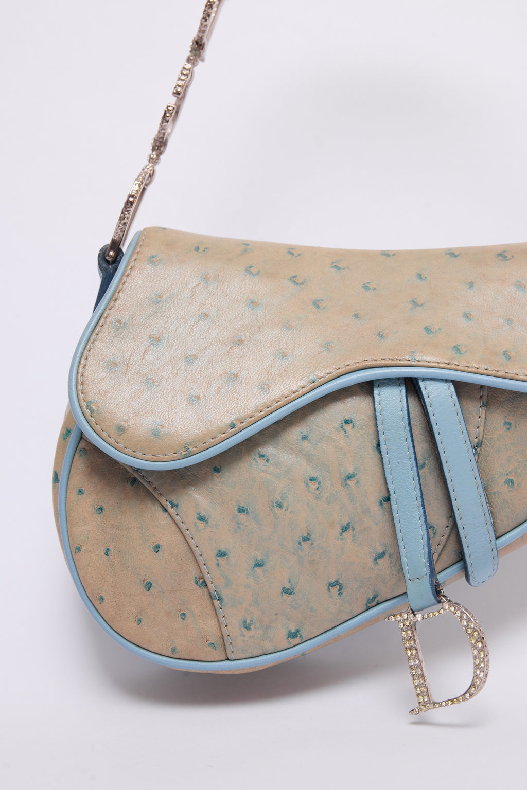 DIOR BLUE CRYSTAL SADDLE