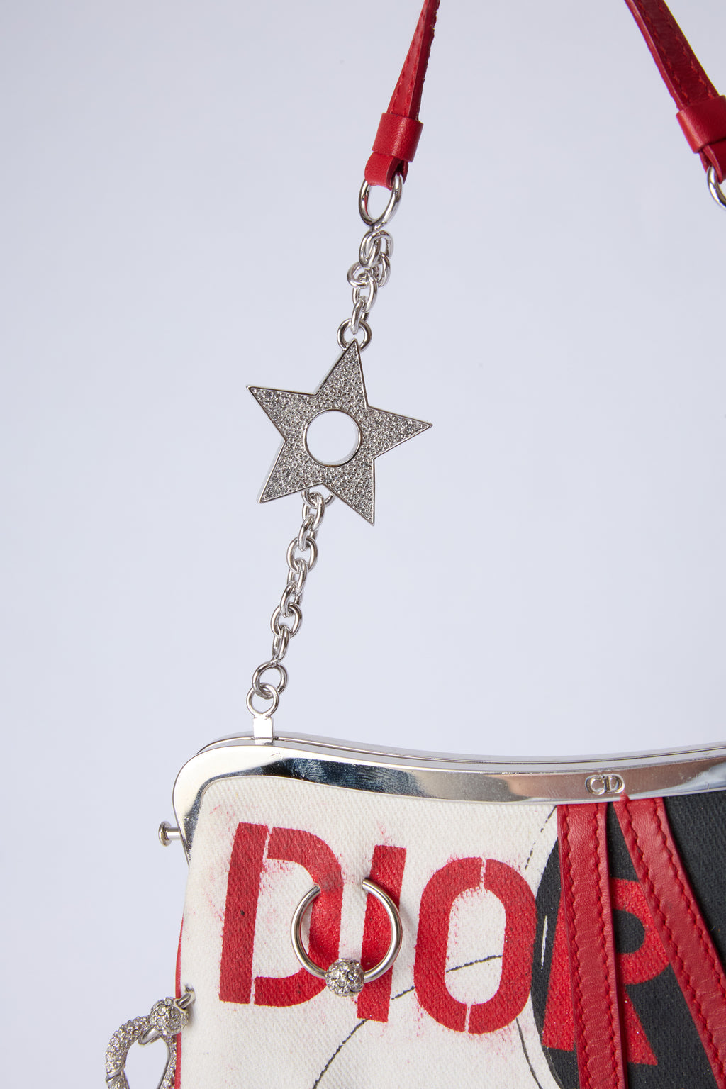 RARE DIOR POISON MINI EVENING SADDLE