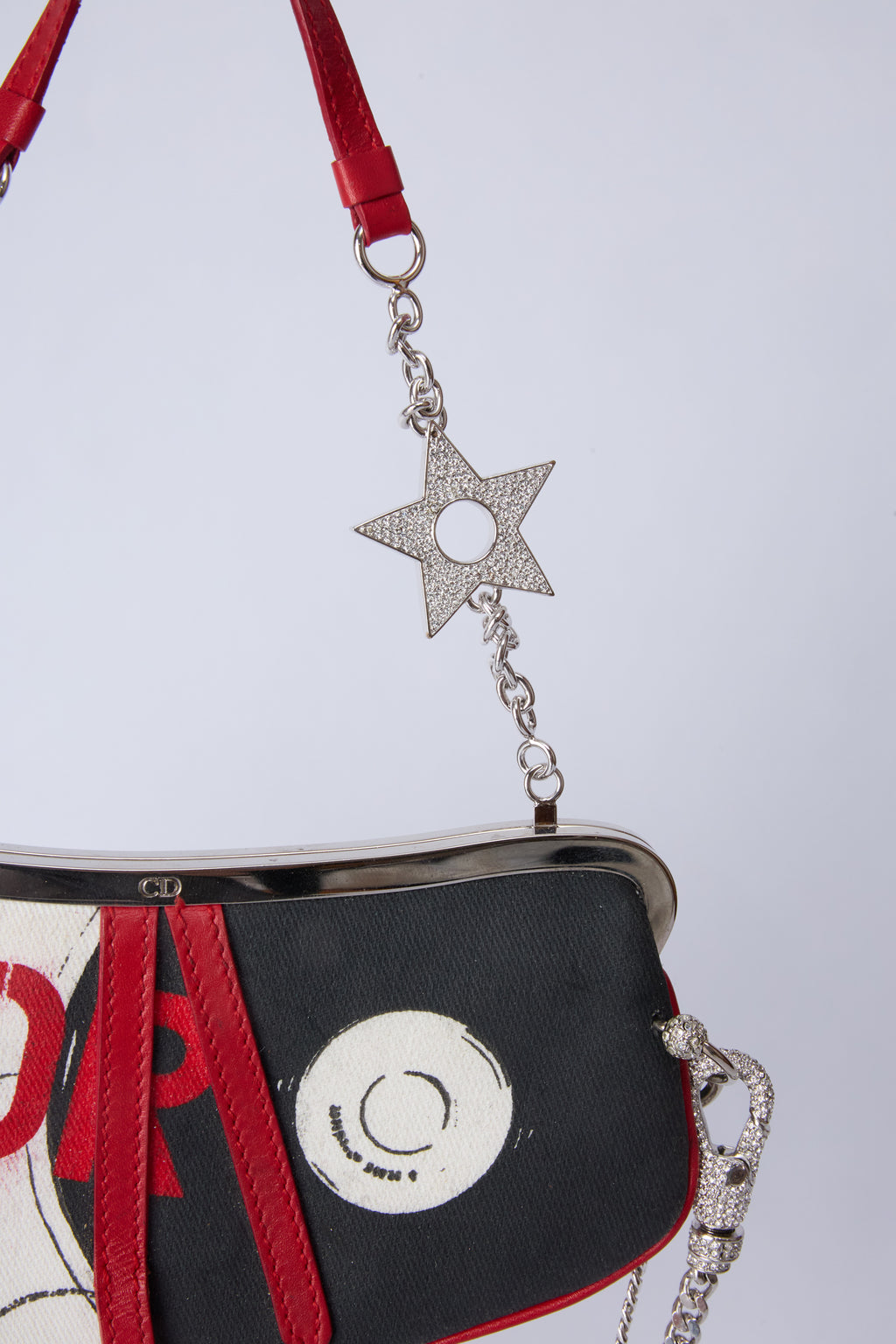 RARE DIOR POISON MINI EVENING SADDLE