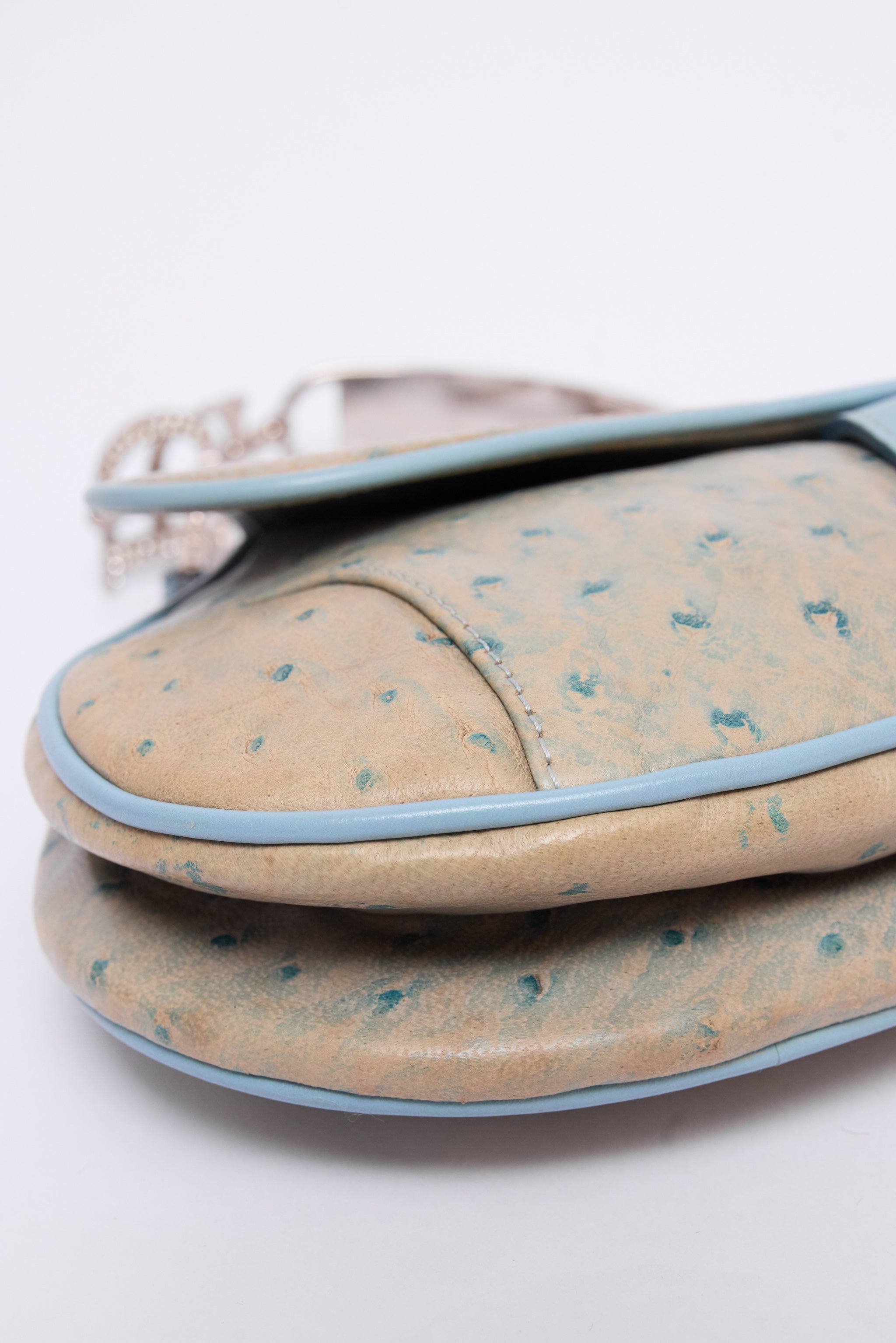 DIOR BLUE CRYSTAL SADDLE