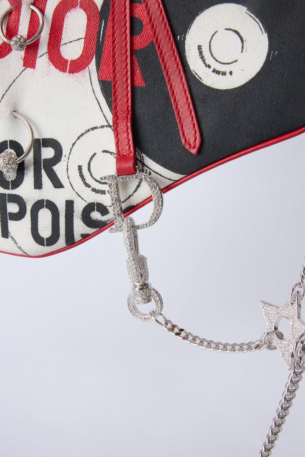 RARE DIOR POISON MINI EVENING SADDLE