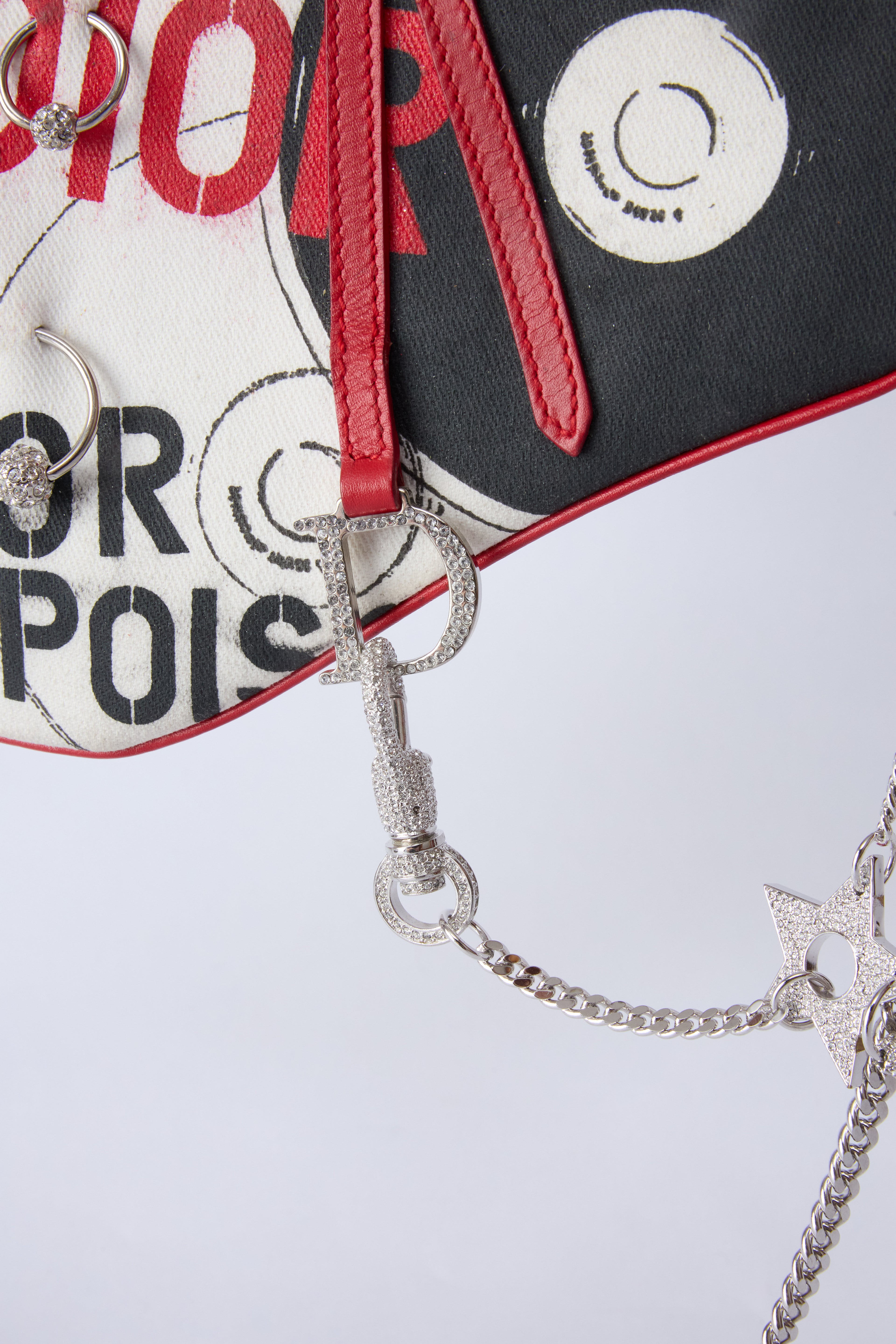 RARE DIOR POISON MINI EVENING SADDLE