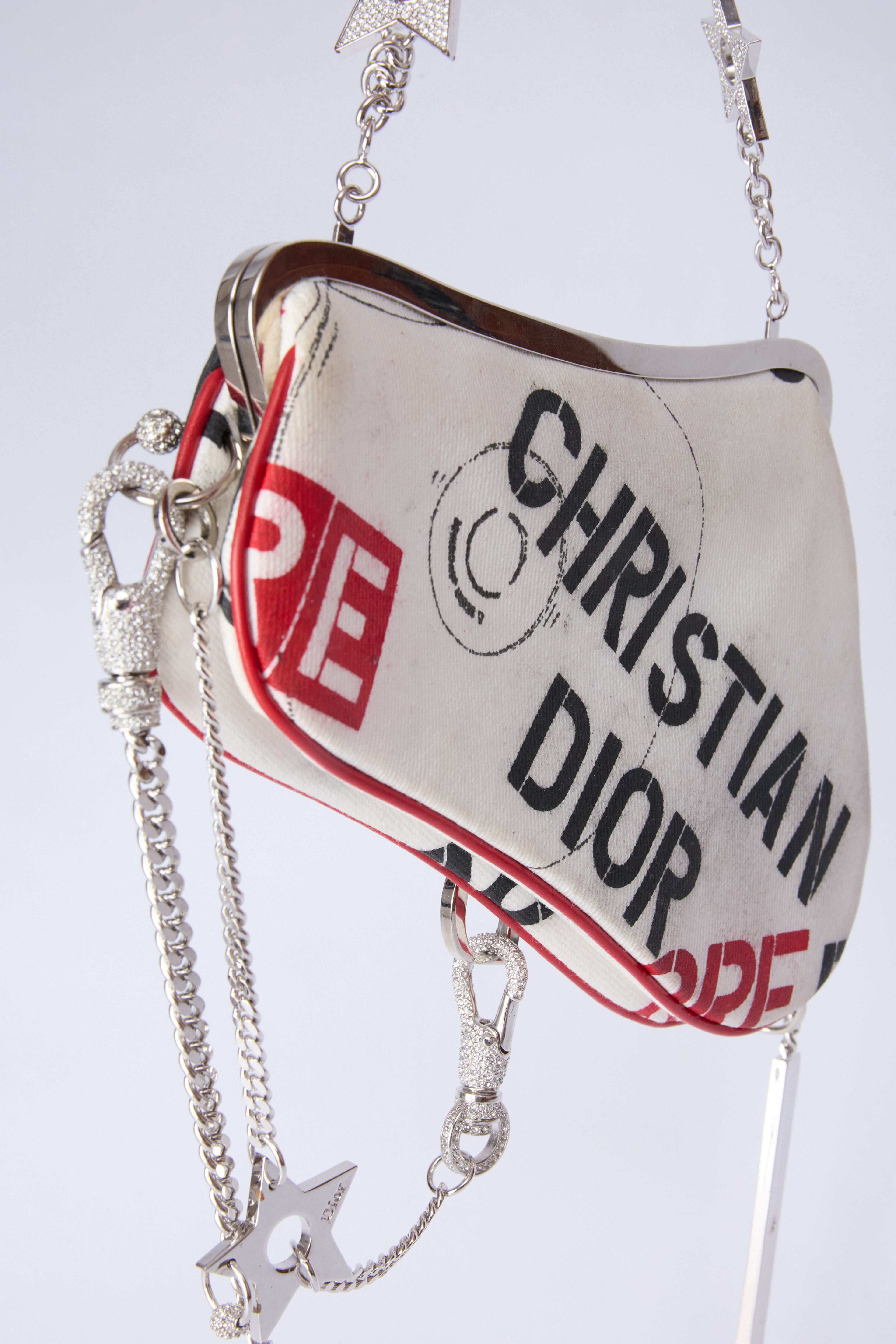 RARE DIOR POISON MINI EVENING SADDLE
