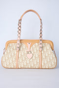 DIOR ROMANTQIUE TROTTER BAG