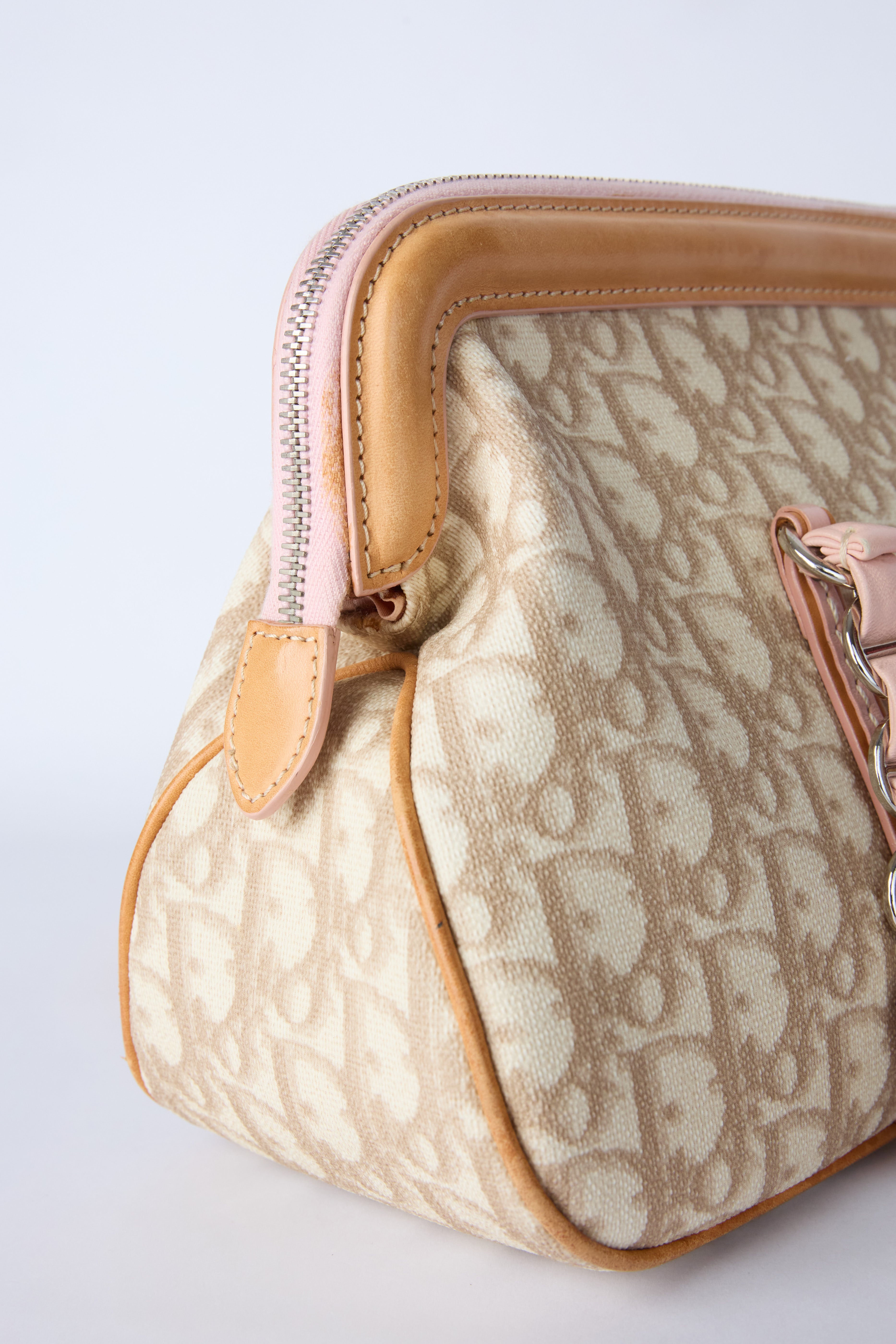 DIOR ROMANTQIUE TROTTER BAG