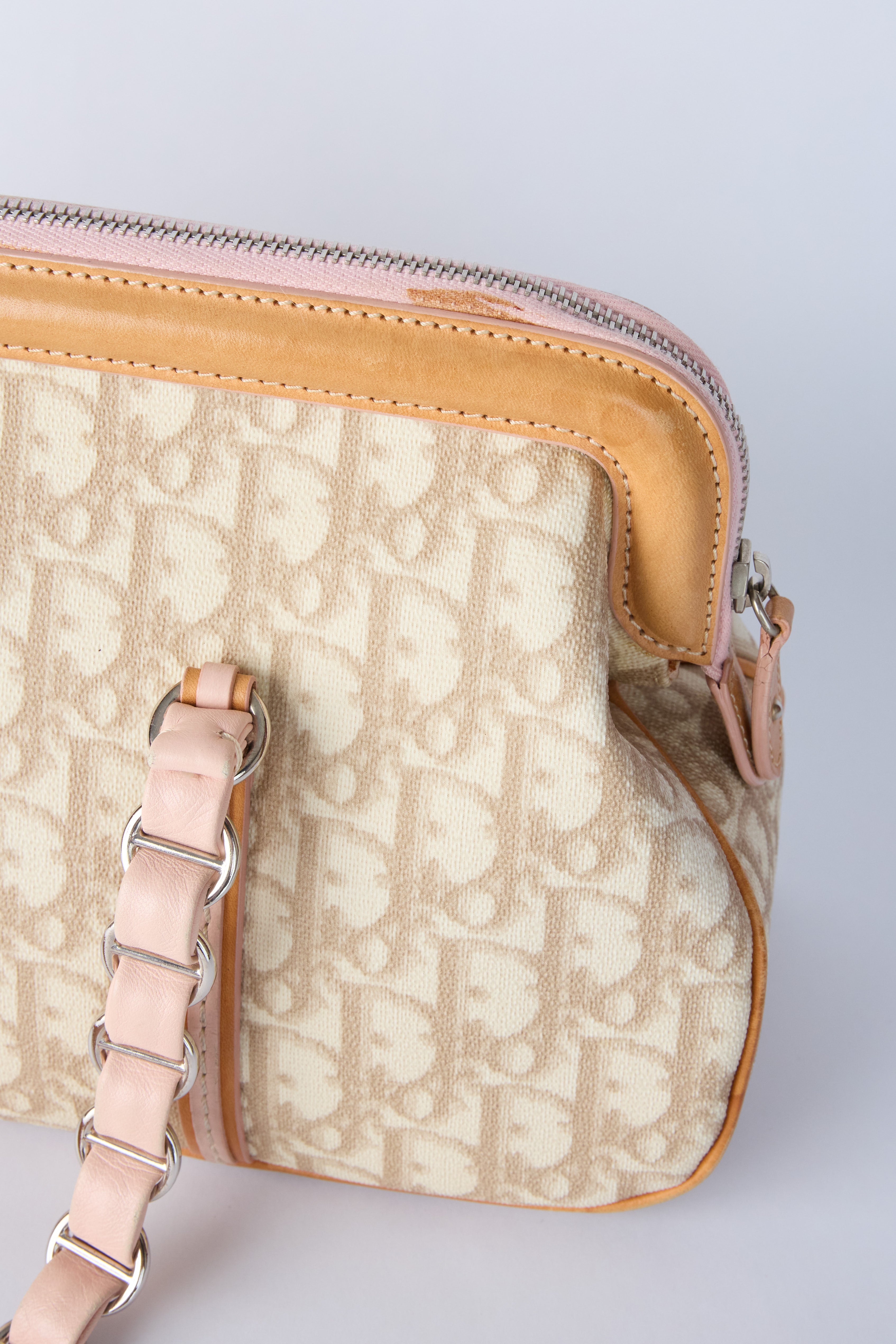DIOR ROMANTQIUE TROTTER BAG