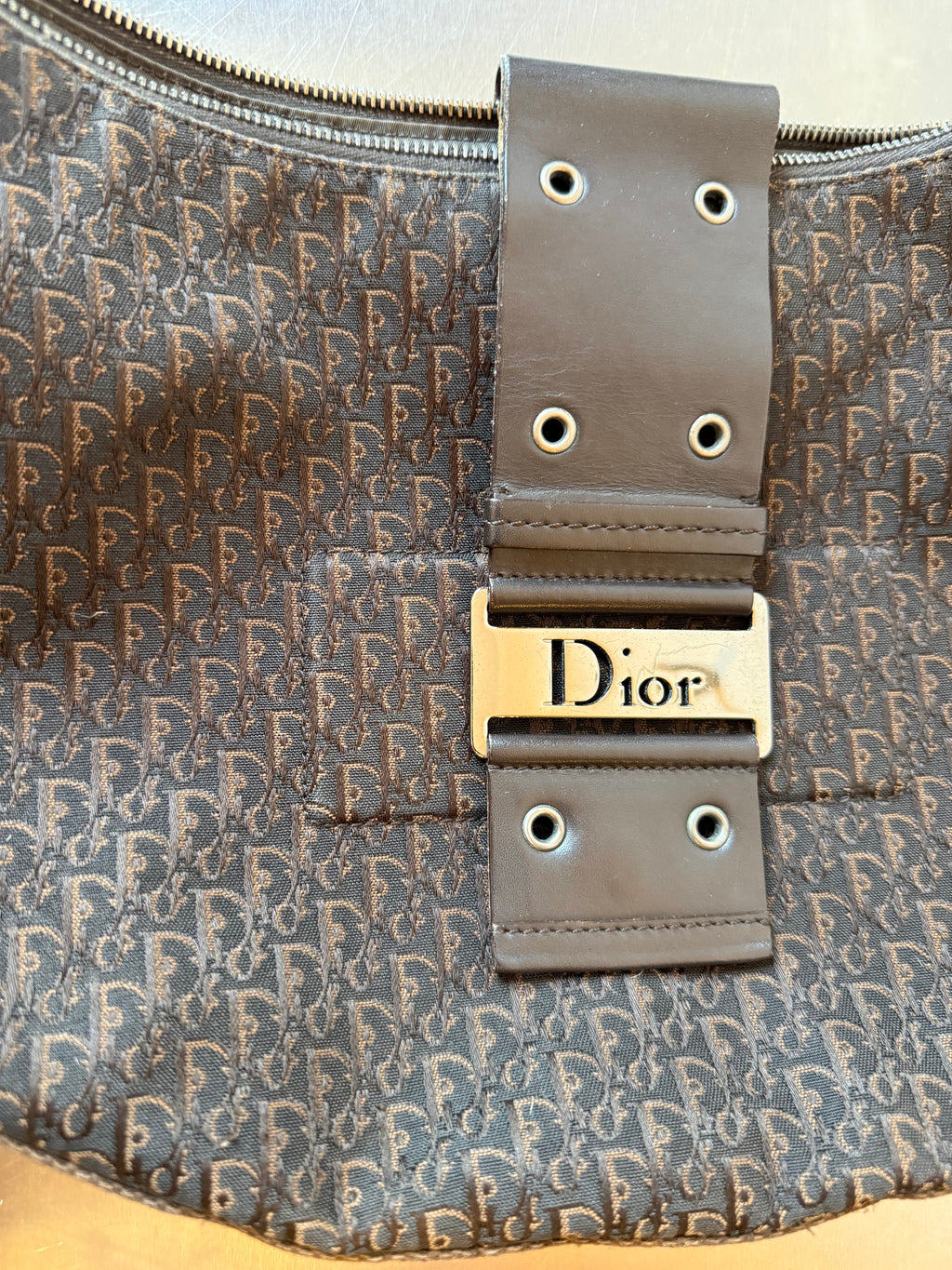 DIOR TROTTER CRESCENT HOBO