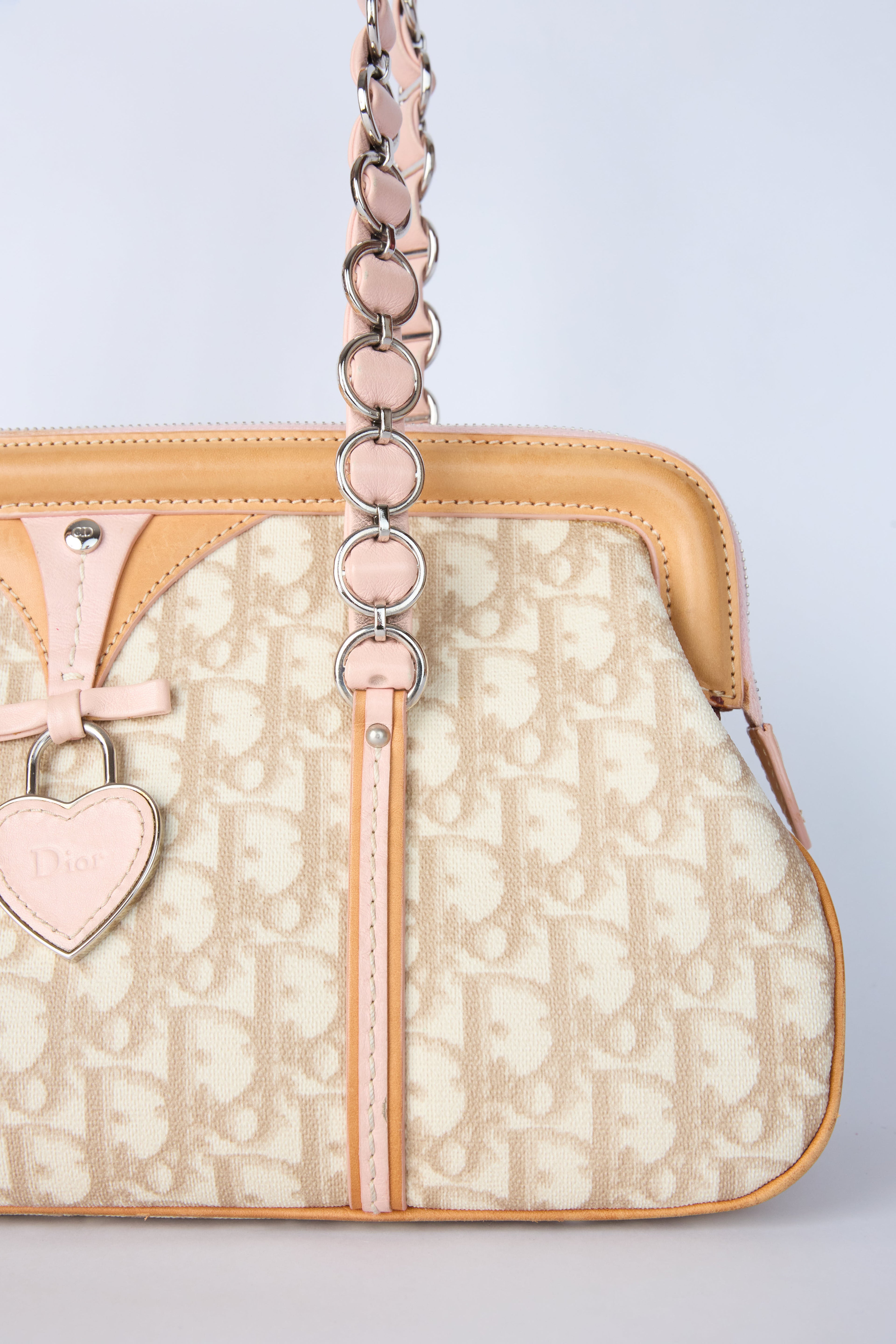 DIOR ROMANTQIUE TROTTER BAG