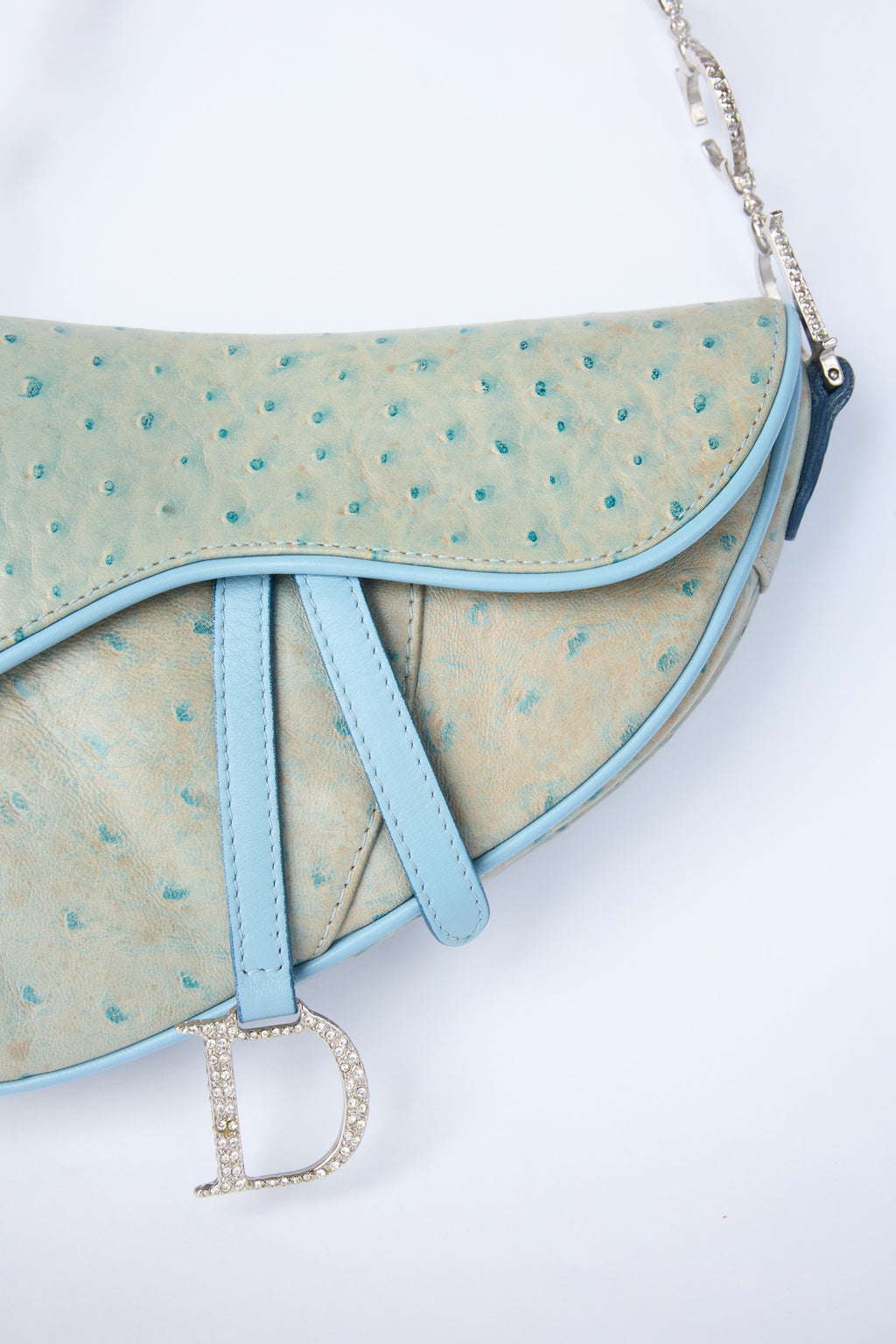 DIOR MINI OSTRICH CRYSTAL SADDLE