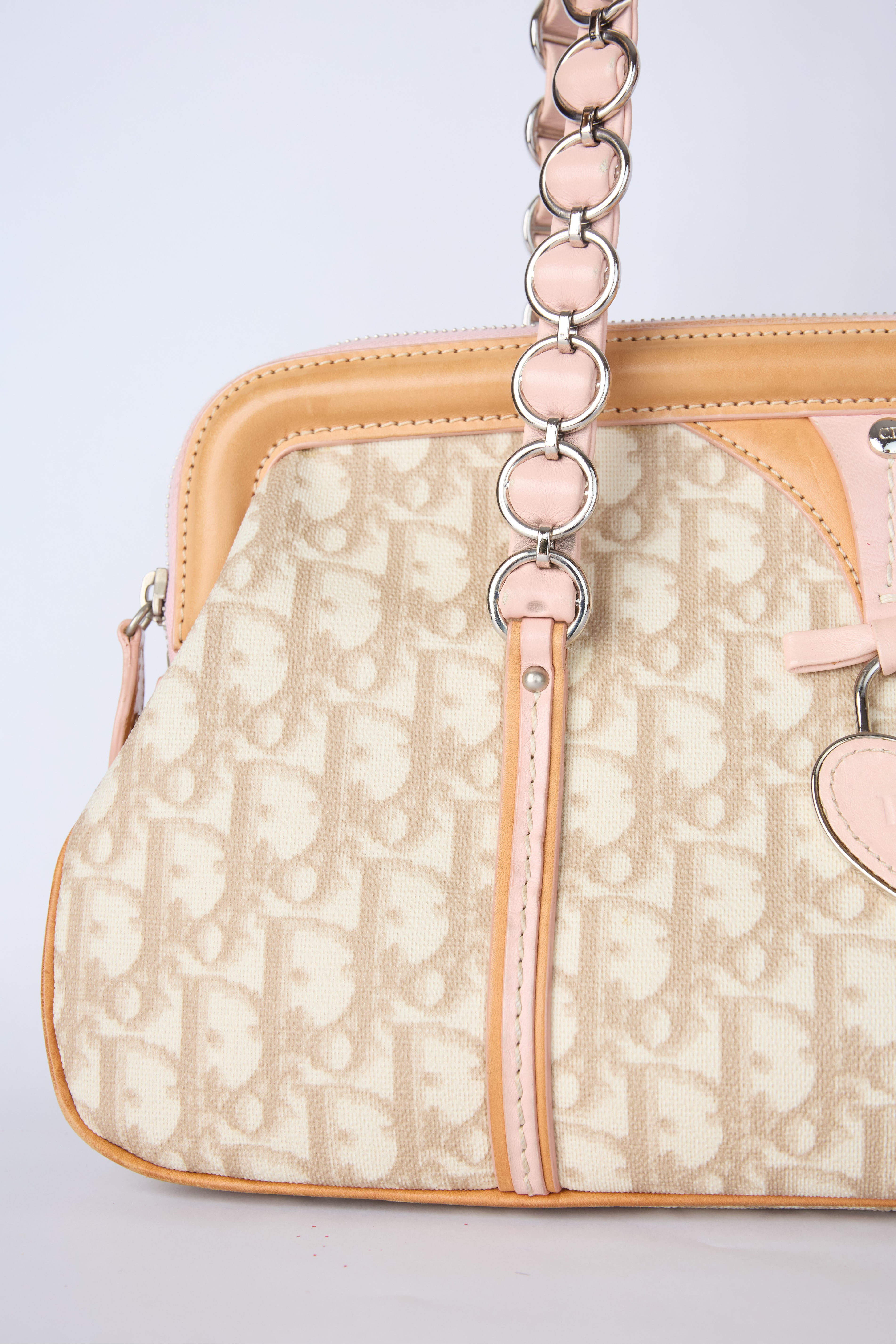 DIOR ROMANTQIUE TROTTER BAG